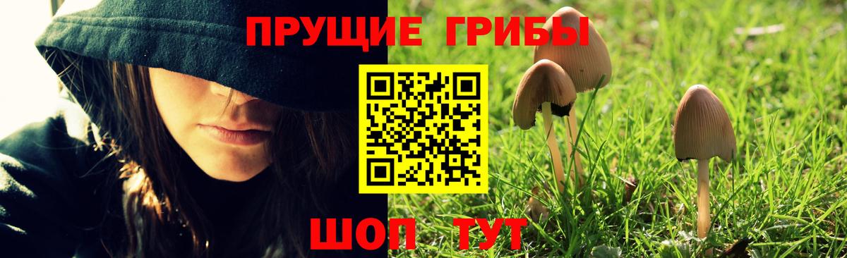 закладка  Псилоцибиновые грибы мицелий  Вход с VPN  Псилоцибиновые грибы Magic Shrooms  Советская Гавань 