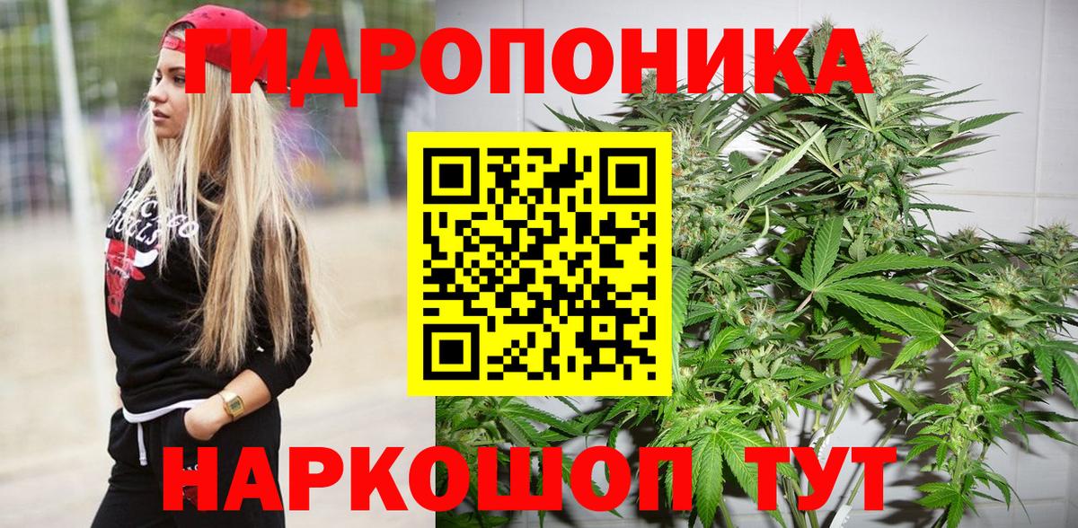 Бошки марихуана конопля  Каннабис OG Kush  Советская Гавань  Вход с VPN 